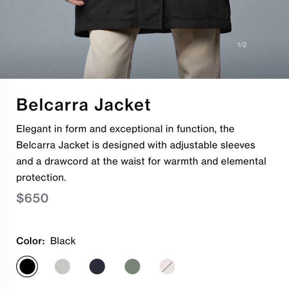 Canada goose - Picture 2 of 3